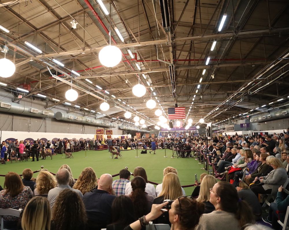 Question of the Week